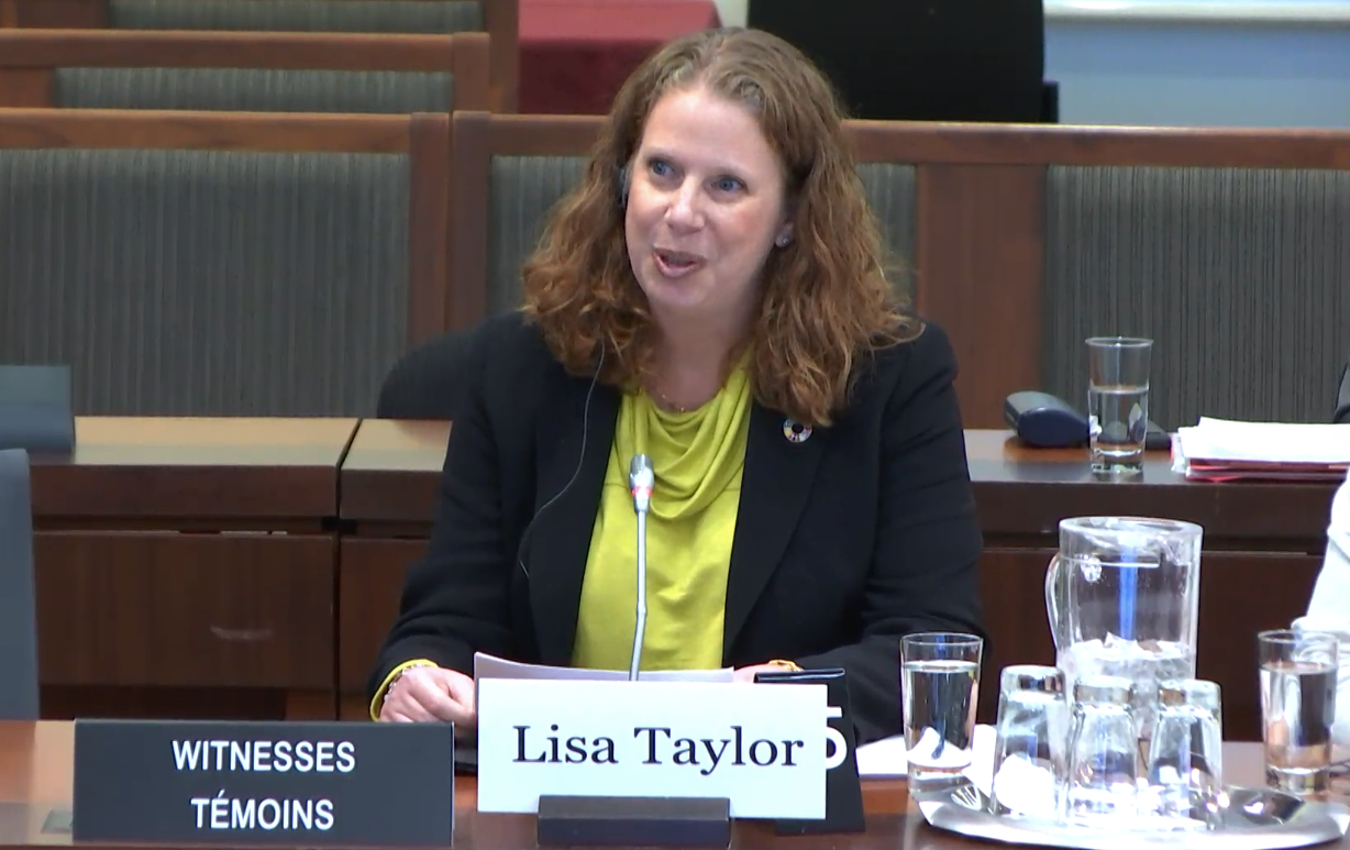 Lisa Taylor testifies before the SCVA